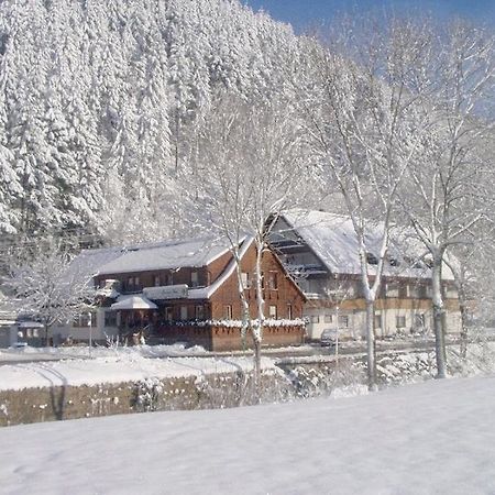 Отель Gruener Hof Целль-ам-Хармерсбах Экстерьер фото