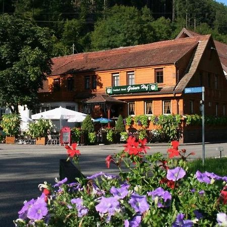 Отель Gruener Hof Целль-ам-Хармерсбах Экстерьер фото