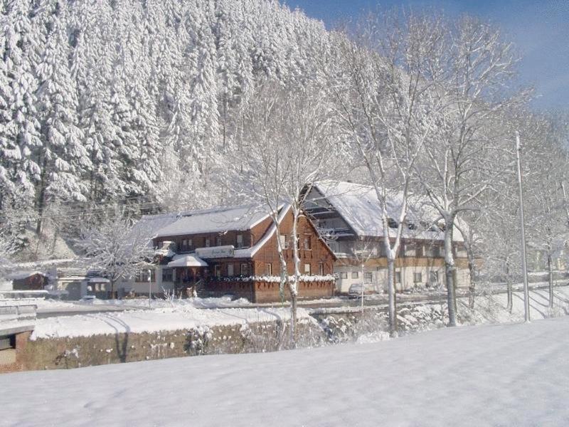 Отель Gruener Hof Целль-ам-Хармерсбах Экстерьер фото