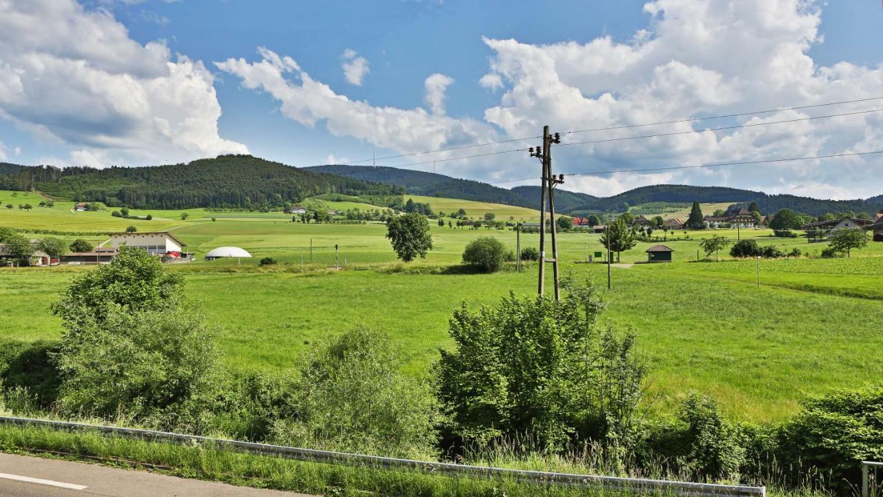 Отель Gruener Hof Целль-ам-Хармерсбах Экстерьер фото