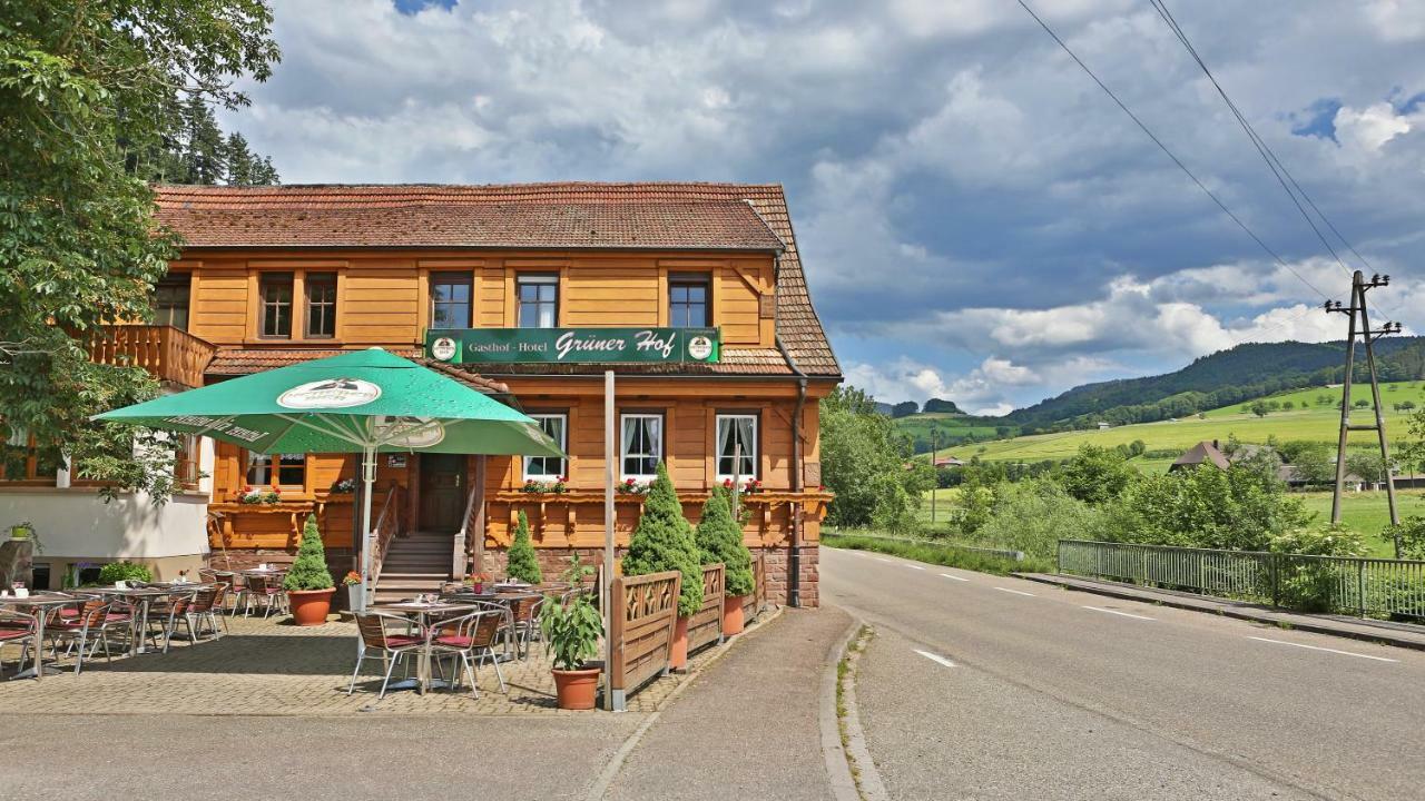 Отель Gruener Hof Целль-ам-Хармерсбах Экстерьер фото